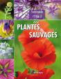 Encyclopédie Visuelle Des Plantes Sauvages - Preview