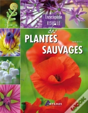 Capa do artigo Encyclopédie Visuelle Des Plantes Sauvages