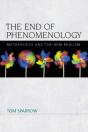 End Of Phenomenology - Preview
