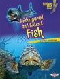 Endangered And Extinct Fish - Preview