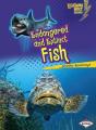 Endangered And Extinct Fish - Preview