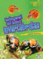 Endangered And Extinct Invertebrates - Preview