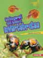 Endangered And Extinct Invertebrates - Preview