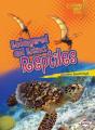 Endangered And Extinct Reptiles - Preview