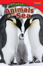 Endangered Animals Of The Sea - Preview