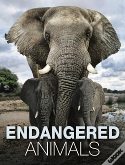 Capa do artigo Endangered Animals