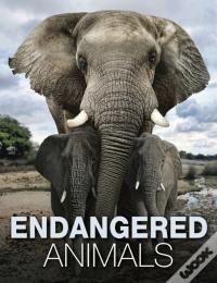 Endangered Animals