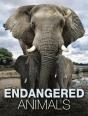 Endangered Animals - Preview