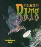 Capa do artigo Endangered Bats