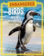 Endangered Birds Around The World - Preview