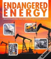Capa do artigo Endangered Energy