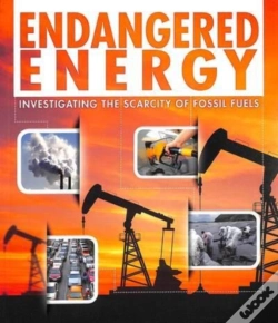 Capa do artigo Endangered Energy