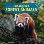 Endangered Forest Animals - Preview
