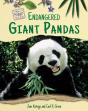 Endangered Giant Pandas - Preview