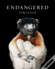 Capa do artigo Endangered