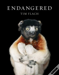 Capa do artigo Endangered