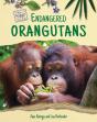 Endangered Orangutans - Preview