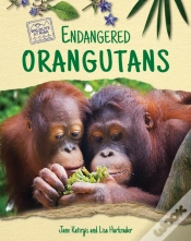 Capa do artigo Endangered Orangutans