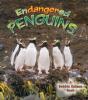 Endangered Penguins - Preview