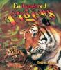 Endangered Tigers - Preview