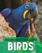Endangered Wildlife: Rescuing Birds - Preview