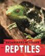 Endangered Wildlife: Rescuing Reptiles - Preview