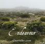 Endeavour - Preview
