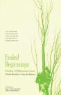 Ended Beginnings - Preview