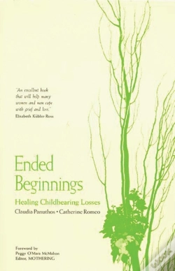 Capa do artigo Ended Beginnings