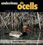 Endevineu Els Ocells - Preview