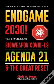 Capa do artigo Endgame 2030!