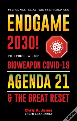 Capa do artigo Endgame 2030!