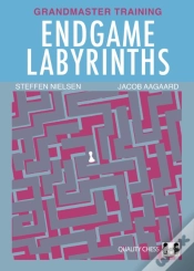 Capa do artigo Endgame Labyrinths