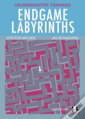 Capa do artigo Endgame Labyrinths