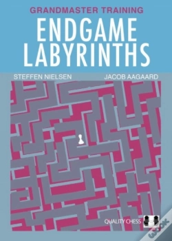 Capa do artigo Endgame Labyrinths