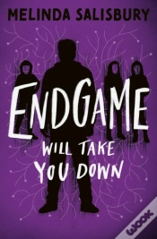 Capa do artigo Endgame