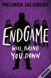 Capa do artigo Endgame