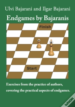 Capa do artigo Endgames By Bajaranis
