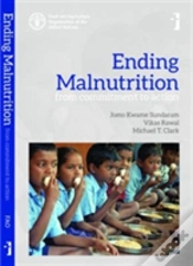 Capa do artigo Ending Malnutrition Â€“ From Commitment To Action