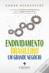 Endividamento Brasileiro – Um Grande Negócio