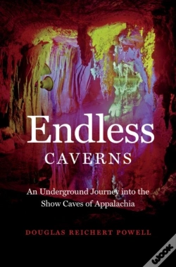 Capa do artigo Endless Caverns