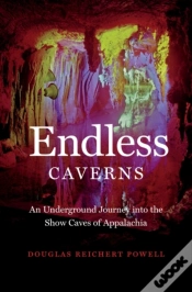 Capa do artigo Endless Caverns