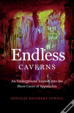 Capa do artigo Endless Caverns