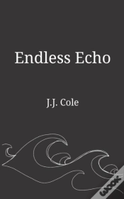 Capa do artigo Endless Echo