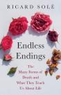Endless Endings - Preview