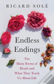 Capa do artigo Endless Endings