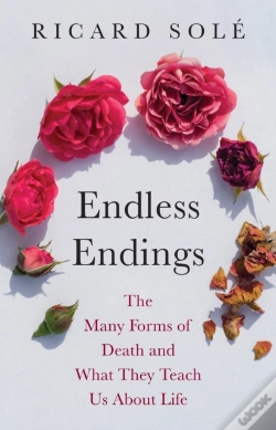 Capa do artigo Endless Endings