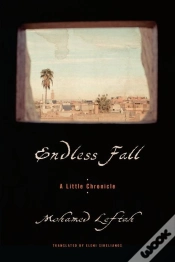 Capa do artigo Endless Fall