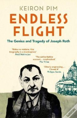 Capa do artigo Endless Flight