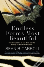 Capa do artigo Endless Forms Most Beautiful